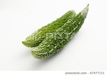 Bitter gourd white background white background Bitter gourd white background white background 67477131