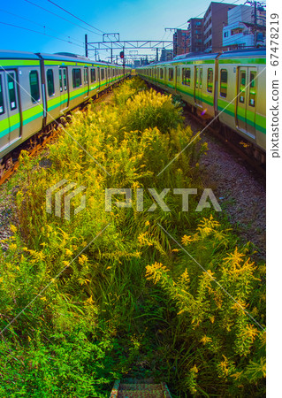 橫濱線和日落照亮的橫濱城市景觀 67478219