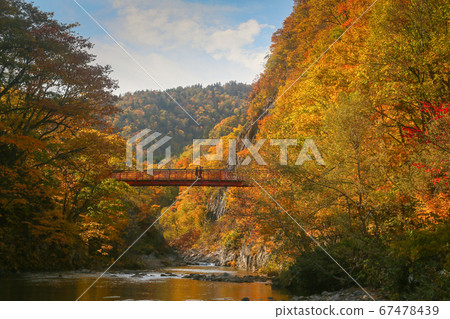 北海道秋季定山溪二見吊橋 67478439