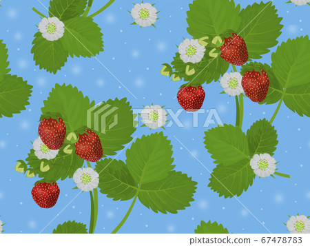 Seamless pattern with painted strawberries. Red Seamless pattern with painted strawberries. Red 67478783