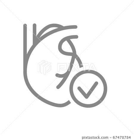 Heart with tick checkmark line icon. Healthy internal organ symbol Heart with tick checkmark line icon. Healthy internal organ symbol 67478784