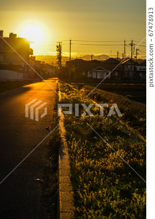 Sunset view and telephone pole 67478913