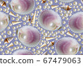 Light shell background. Seashells seamless pattern 67479063
