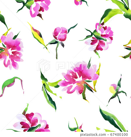 Watercolor seamless botanical pattern. Hand drawn opulent blossom peonies with foliage. Floral background in vintage style. Watercolor seamless botanical pattern. Hand drawn opulent blossom peonies with foliage. Floral background in vintage style. 67480100