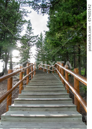 加拿大艾伯塔省班夫國家公園驚喜角觀景台的樓梯 加拿大艾伯塔省班夫國家公園驚喜角觀景台的樓梯 67480342