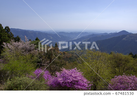 View of Mt. Mitake from the fresh green View of Mt. Mitake from the fresh green 67481530