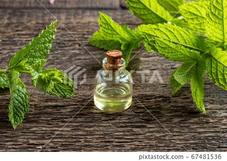 A bottle of melissa essential oil with melissa 67481536