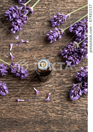 A bottle of lavender essential oil with blooming A bottle of lavender essential oil with blooming 67481537