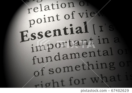 definition of essential definition of essential 67482629