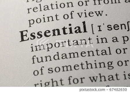 definition of essential 67482630