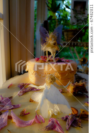 Flower fairy Flower fairy 67482811