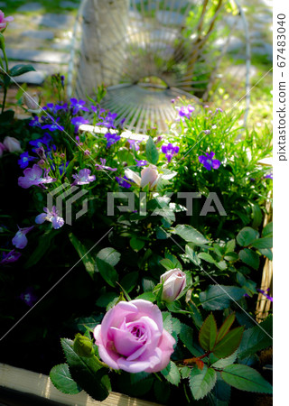 Furano Atelier Landscape of Mt. 67483040