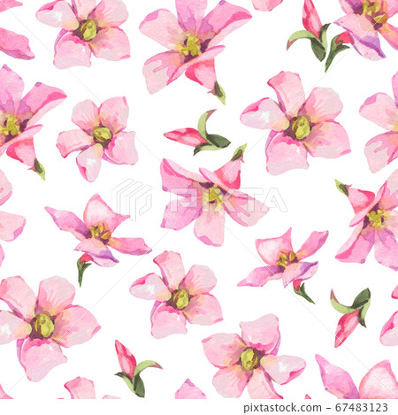 Watercolor summer pink flowers seamless pattern - Stock Illustration ...