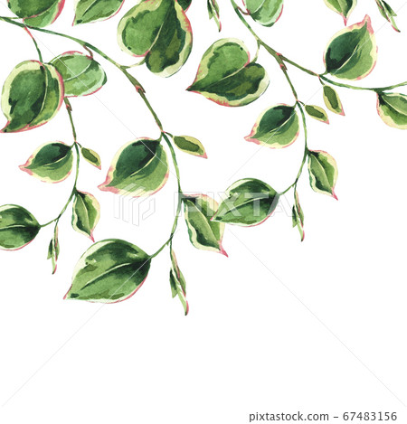 Watercolor tropical green leaves greeting card. Watercolor tropical green leaves greeting card. 67483156