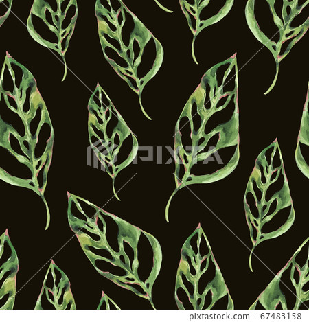 Watercolor tropical green leaves seamless pattern. Watercolor tropical green leaves seamless pattern. 67483158