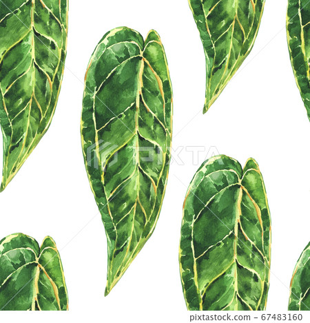 Watercolor tropical green leaves seamless pattern. 67483160