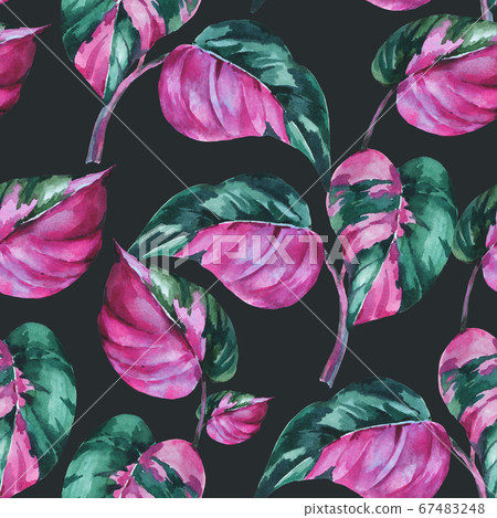 Watercolor tropical leaves seamless pattern. 67483248