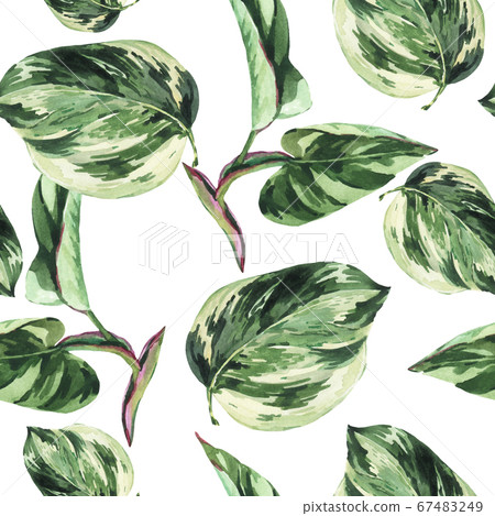 Watercolor greenery seamless pattern. Watercolor Watercolor greenery seamless pattern. Watercolor 67483249