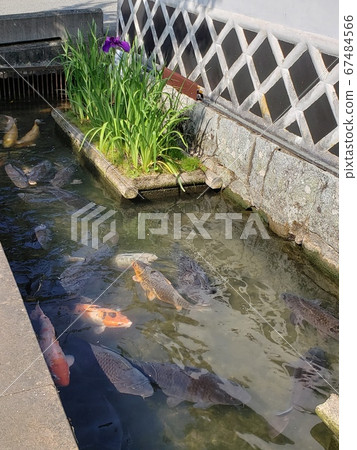 Aiba River 67484566