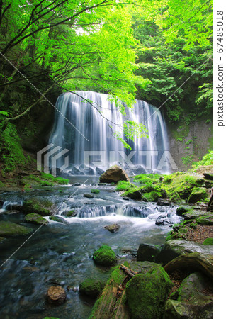 Tatsuzawa Fudo Waterfall in early summer (Inawashiro Town, Fukushima Prefecture) Tatsuzawa Fudo Waterfall in early summer (Inawashiro Town, Fukushima Prefecture) 67485018