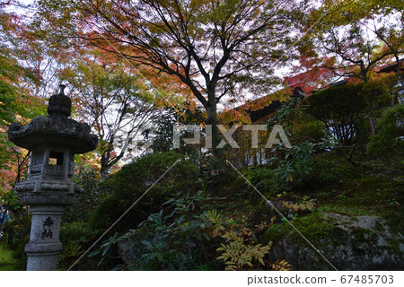 I went to Yamamoto Fudoson #7 67485703
