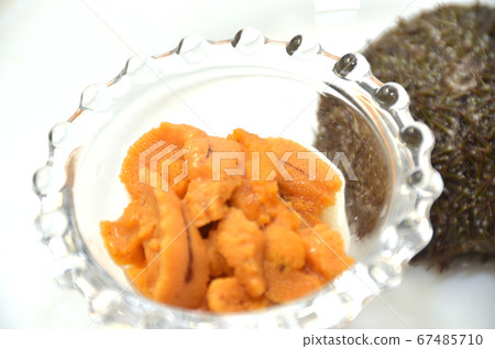 Bahun sea urchin, Bahun sea urchin with shell 67485710