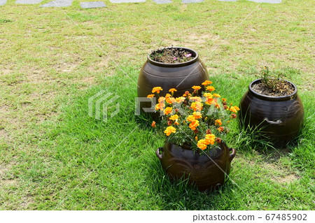 Park potted lawn Park potted lawn 67485902