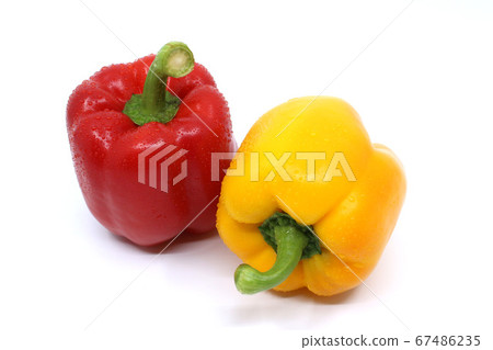 孤立在白色背景上的各種顏色的辣椒粉 67486235