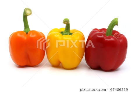 孤立在白色背景上的各種顏色的辣椒粉 孤立在白色背景上的各種顏色的辣椒粉 67486239