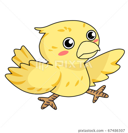 Bird character 67486307