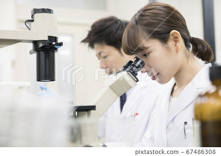 Research Development Experimental image A young female researcher looking through a microscope Research Development Experimental image A young female researcher looking through a microscope 67486308