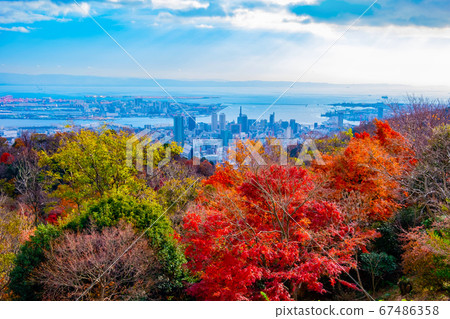 Autumn leaves of Nunobiki herb garden and cityscape of Kobe Autumn leaves of Nunobiki herb garden and cityscape of Kobe 67486358