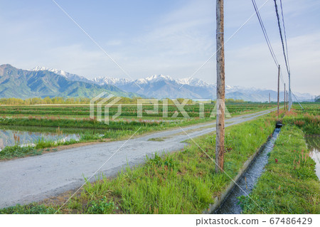 Countryside landscape with telephone poles [early summer] 67486429