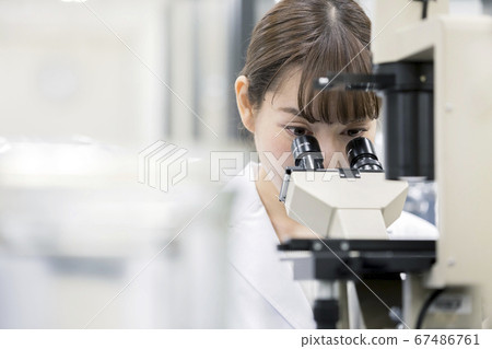 研究，開發，實驗圖像 67486761