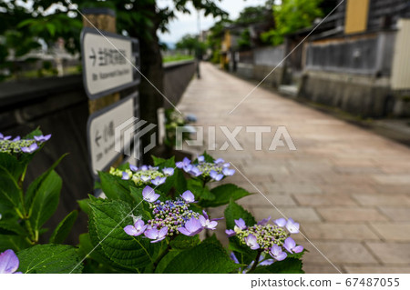 主要城鎮茶屋町的初夏 主要城鎮茶屋町的初夏 67487055