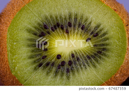 Kiwi fruit cutaway. Food macro shot. 67487359