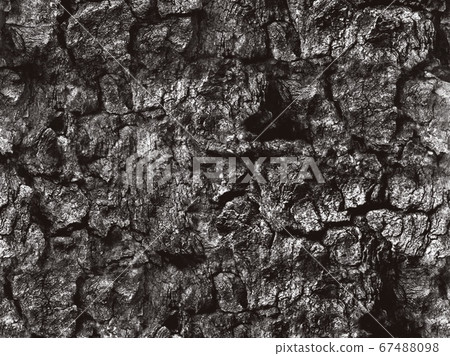 粗糙的木材紋理的背景 粗糙的木材紋理的背景 67488098