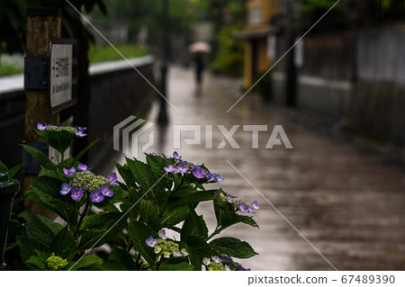 主要城鎮茶屋町的初夏 主要城鎮茶屋町的初夏 67489390