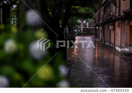 主要城鎮茶屋町的初夏 67489399