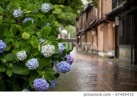 主要城鎮茶屋町的初夏 主要城鎮茶屋町的初夏 67489410