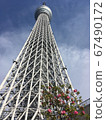 天空樹春天 67490172
