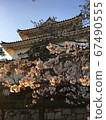 丸龜城（櫻花日落） 67490555