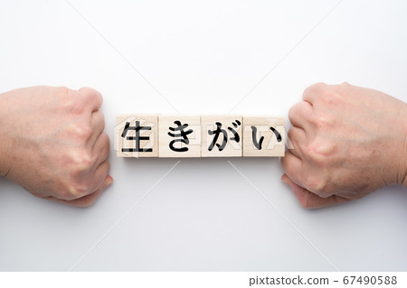 圖片 圖片 67490588