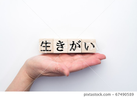 圖片 67490589