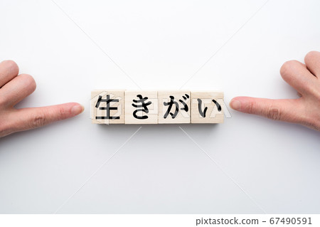 圖片 67490591