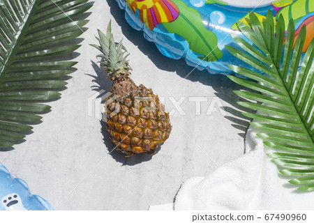 夏季菠蘿 67490960