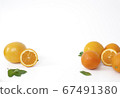 橙 67491380