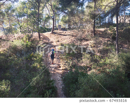 Young woman hiker in walks in green spring or 67493816