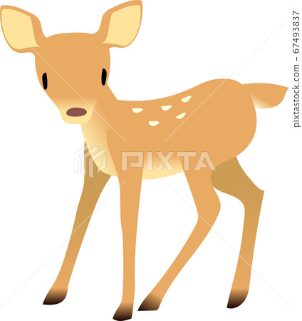 可愛的小鹿站 可愛的小鹿站 67493837