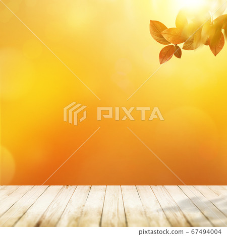 Image of autumn 67494004